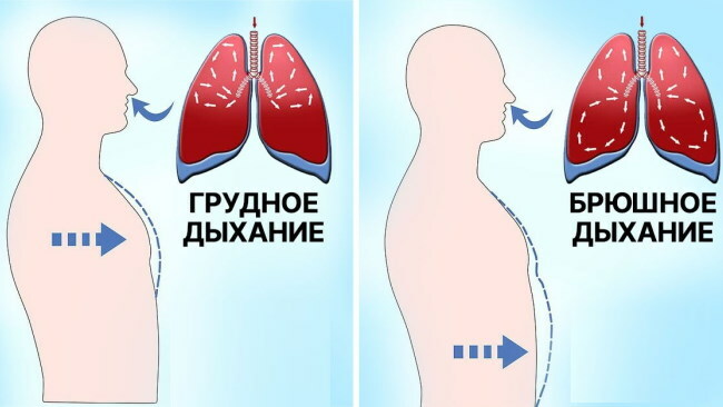 Typy oddychania u kobiet, mężczyzn są normalne: klatka piersiowa, brzuch