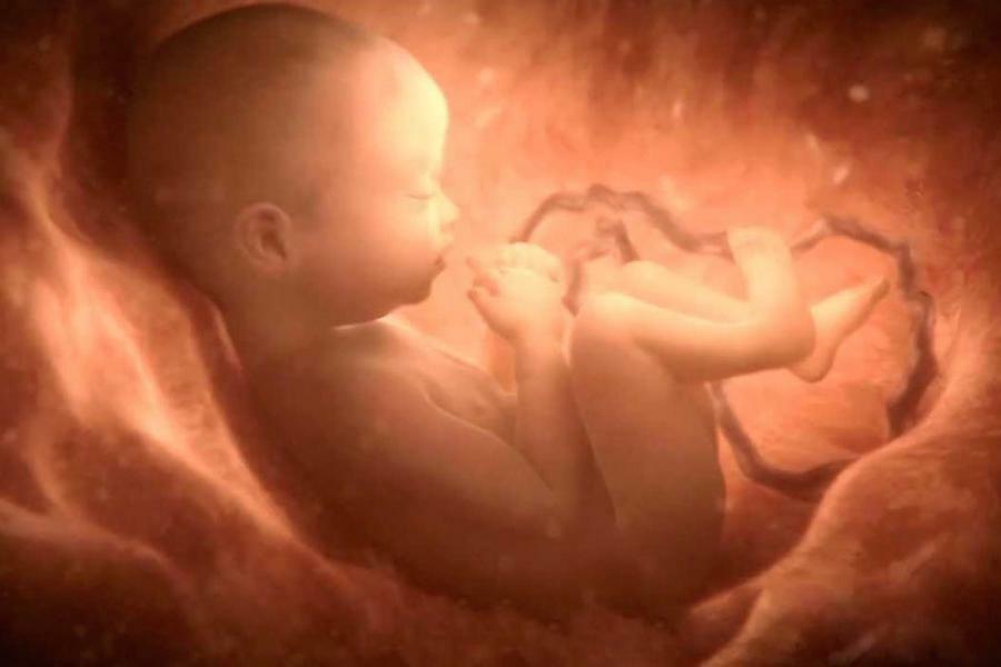Fetusun hipoksisi: çocuğa nedenler, nedenleri ve tedavisi