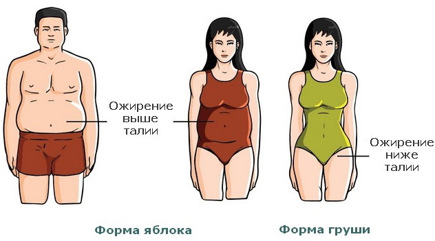 Elhízási táblázat nőknek súly, magasság, életkor szerint