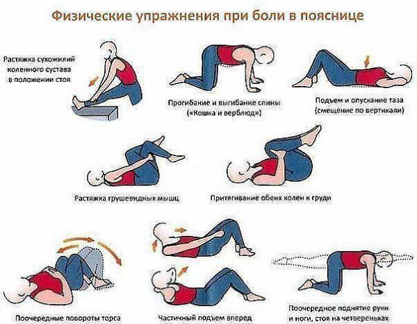 A set of physical exercises for back pain