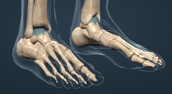 Ligamentos do tornozelo. Anatomia, foto de ressonância magnética, trauma