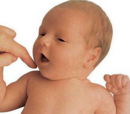 Proboscis reflex in newborns. What is this, photo, when it fades away