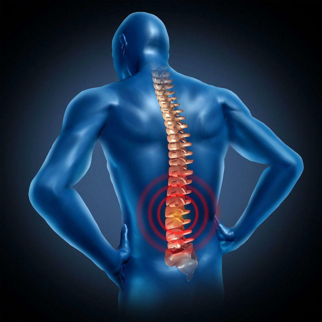 Simptomele herniilor intervertebrale ale coloanei vertebrale lombare - informații detaliate