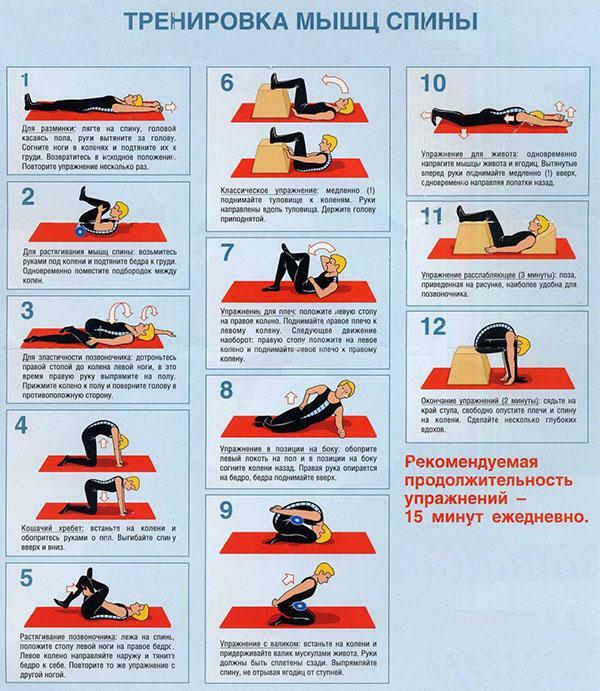 Exerciții pentru mușchii spatelui
