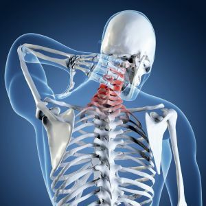 health and prevention of diseases of the spine