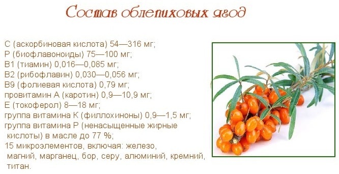 Sea buckthorn. Useful properties of berries, leaves, branches for the body