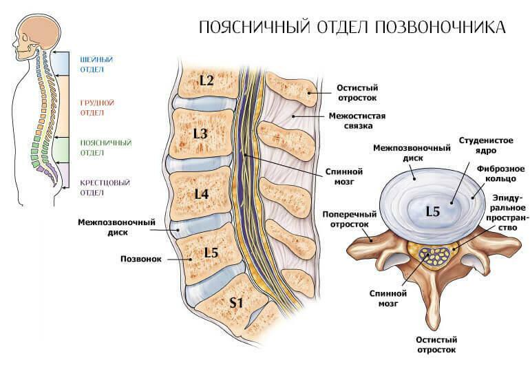 Osteochondróza lumbosakrální páteře: příznaky, stadia, příčiny