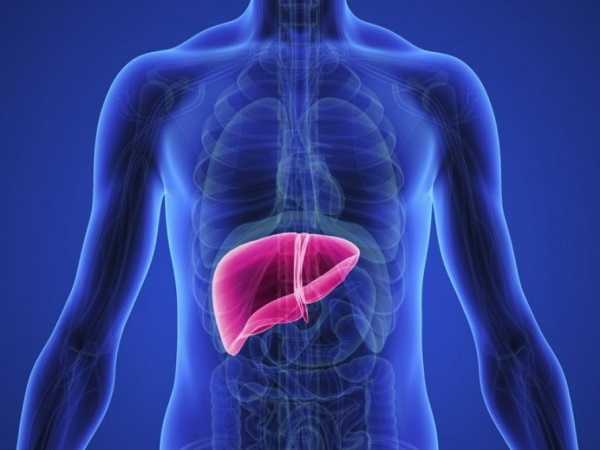 Enfermedades del hígado y la vesícula biliar. Síntomas, tratamiento