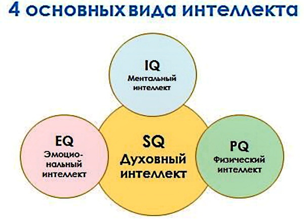 Intelligence in psychology. What is it, types, emotional, general, social