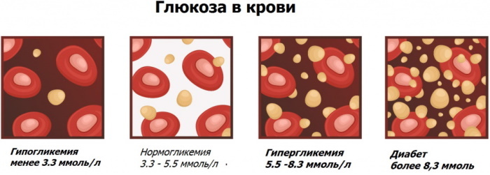Rodzaje badań krwi: jakie są, imiona